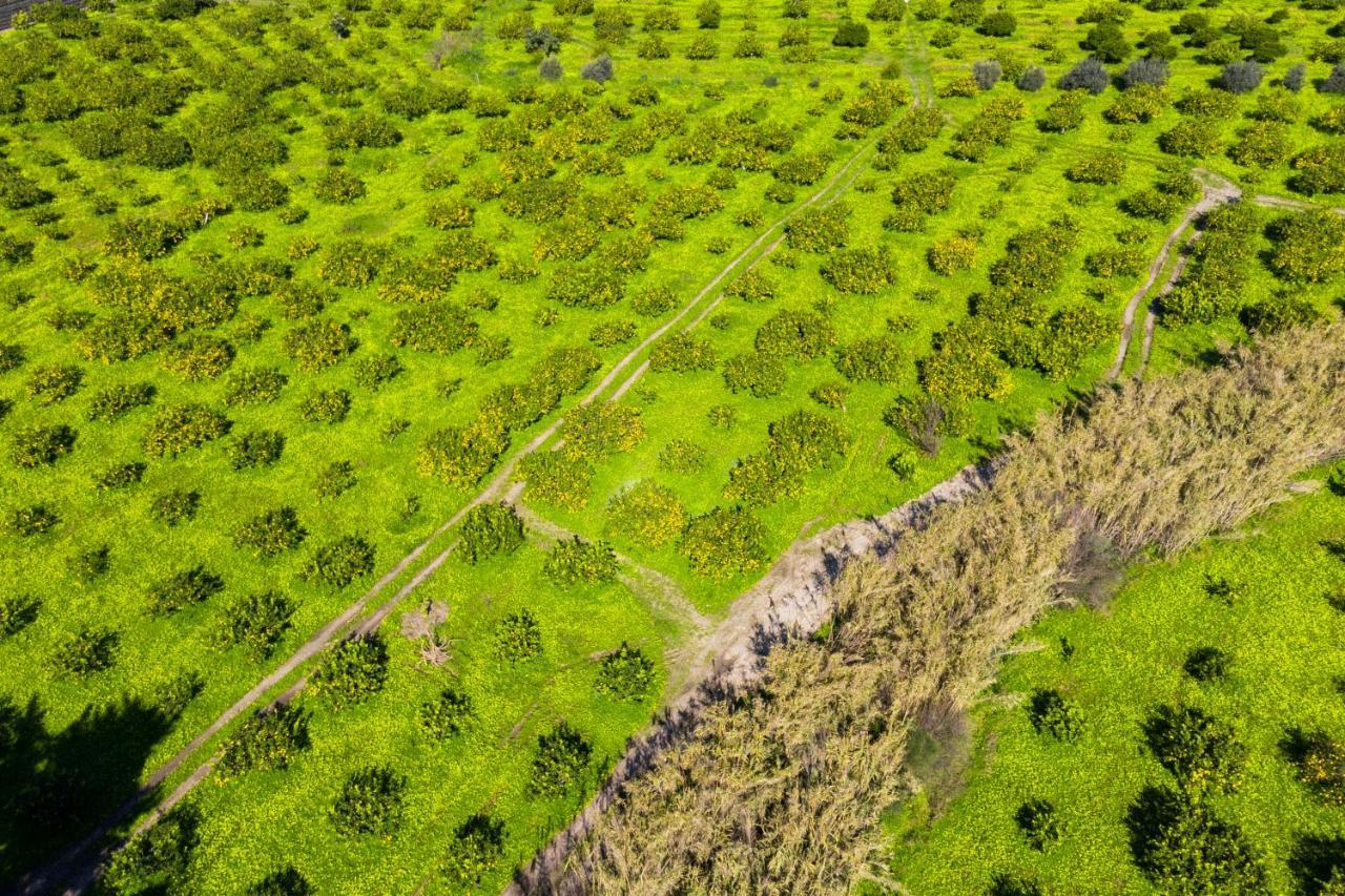 Bioagriturismo Antica Sena Milici Екстер'єр фото